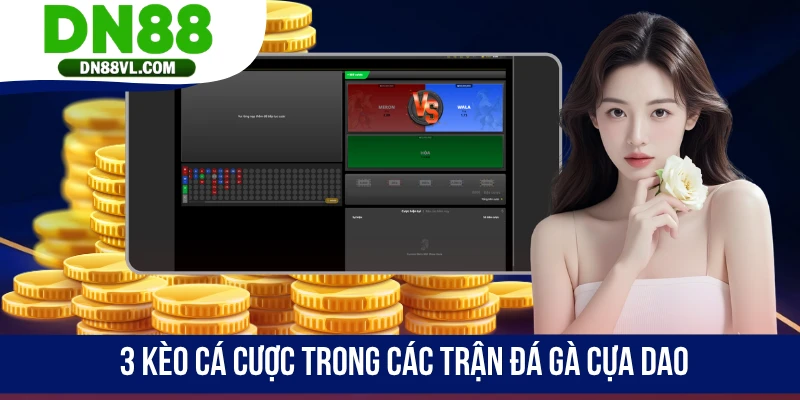 Đá Gà Cựa Dao DN88 - Xem Và Đặt Cược Cho Hùng Kê Yêu Thích - Spinmaven96