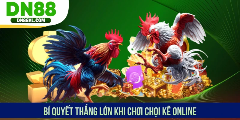 Đá Gà DN88 - Trực Tiếp Từ Đấu Trường Chọi Kê Top Đầu - Spinmaven96
