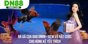 DN88 |Trang Chủ DN88.COM Chính Thức | Đăng ký DN88 HÚP 888K - Spinmaven96