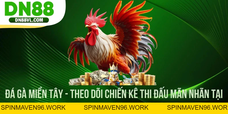 Đá Gà Miền Tây - Theo Dõi Chiến Kê Thi Đấu Mãn Nhãn Tại DN88 - Spinmaven96