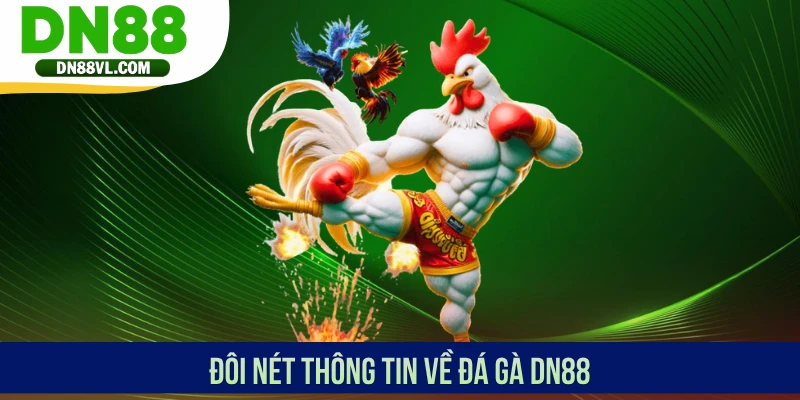 Đá Gà DN88 - Trực Tiếp Từ Đấu Trường Chọi Kê Top Đầu - Spinmaven96