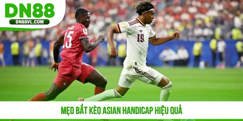 Kèo Châu Á - Cách Chơi Dễ Hiểu Và Mẹo Đọc Kèo Hiệu Quả - Spinmaven96